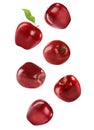 Ripe red apples falling on background