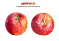 Ripe red apples isolated on white background.