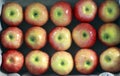 Ripe red apples are laid neatly in a box in rows