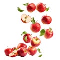 Ripe red apples with leaves falling and landing on white background Royalty Free Stock Photo