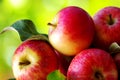 Ripe red apples on table Royalty Free Stock Photo