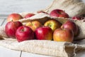 Ripe red apples on the table and cloth Royalty Free Stock Photo