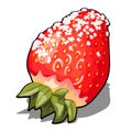 Ripe red berry strawberries sprinkled with sugar. Element of a healthy diet. Delicious and healthy orchard fruits and