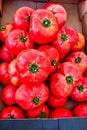 Ripe Red Big Beef Tomatoes For Sale a Street Market, Greece Royalty Free Stock Photo