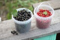 Ripe red and black currants in white cup background old wooden texture Royalty Free Stock Photo