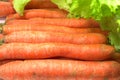 Ripe red carrots and green salad leaves Royalty Free Stock Photo