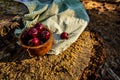 Ripe red cherries in antique blue and white bowl with silver spoon Royalty Free Stock Photo