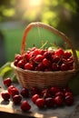 Ripe red cherries in a basket on a wooden table. Royalty Free Stock Photo