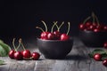 Ripe red cherries in a bowl and next to it Royalty Free Stock Photo
