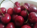 Ripe red cherries in bowl with waterdrops