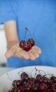 Ripe red cherries. The child's hands hold ripe cherries Royalty Free Stock Photo