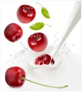 Ripe red cherries falling into the milky splash.