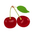 Ripe red cherries with a green leaf. Royalty Free Stock Photo