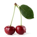 Ripe red cherries with leaf Royalty Free Stock Photo