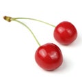 Ripe Red Cherries with Stem Isolated on White Background Royalty Free Stock Photo