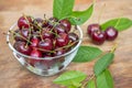 Ripe red cherries in a transparent bowl closeup Royalty Free Stock Photo