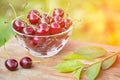 Ripe red cherries in a transparent bowl in sunlight outdoors closeup Royalty Free Stock Photo