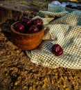 Ripe red cherries in vintage carved wood cup on tree stump in forest Royalty Free Stock Photo