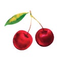 Ripe red cherry berries with leaves, two cherries, , watercolor illustration on white Royalty Free Stock Photo