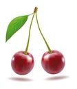 Ripe red cherry berries with leaves. Vector. Royalty Free Stock Photo