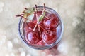 Ripe red cherry in a glass cup on a silver background with bokeh. Top view.Selective focus Royalty Free Stock Photo