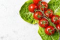 Ripe red cherry tomatoes on green salad leaves, stone table, top view with copy space Royalty Free Stock Photo