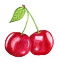 Ripe red cherry on a twig. Juicy illustration of sweet cherry watercolor.
