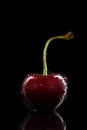 Ripe cherry with water drops on black Royalty Free Stock Photo