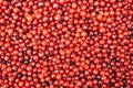 Ripe red cranberry background top view Royalty Free Stock Photo