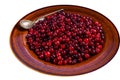 Ripe Red Cranberry berry in a rustic plate. High quality Isolate, white background. Royalty Free Stock Photo