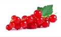 Ripe red currant berries with leaf isolated on white Royalty Free Stock Photo
