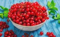 Ripe red currant berries Royalty Free Stock Photo