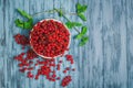 Ripe red currant berries Royalty Free Stock Photo