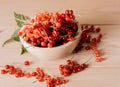 Ripe red currant berries Royalty Free Stock Photo