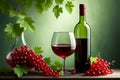 ripe red currant wine in a glass isolated on a green background Royalty Free Stock Photo