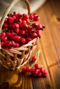 Ripe red dogrose in a basket on a wooden