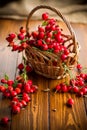 Ripe red dogrose in a basket on a wooden