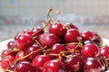 Ripe red fresh cherry in sunlight in a dish Royalty Free Stock Photo