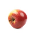 Ripe red and golden jonagold apple Royalty Free Stock Photo