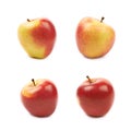 Ripe red and golden jonagold apple Royalty Free Stock Photo