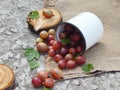 Ripe red gooseberries and leaves lie in a white metal mug on the background of burlap Royalty Free Stock Photo