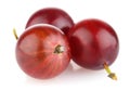 Ripe red gooseberry Royalty Free Stock Photo