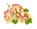 Ripe red grape with leaves. Pink bunch isolated on white Royalty Free Stock Photo