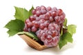 Ripe red grape with leaves Royalty Free Stock Photo