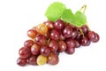 Ripe red grape. Pink bunch with leaves isolated on white background. Closeup Royalty Free Stock Photo