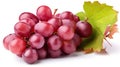 Ripe red grape. Pink bunch with leaves isolated on white. With clipping path. Full depth of field, generative ai Royalty Free Stock Photo