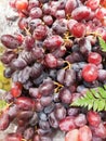 Ripe red grapes bunches on farmer in market Thai Royalty Free Stock Photo