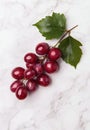 Ripe red grapes with green leaves on a marble background Royalty Free Stock Photo