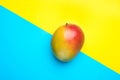 Ripe Red Green Mango on Split Duotone Yellow Blue Diagonal Background. Styled Creative Image. Tropical Fruits Vacation Summer