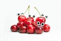 Ripe red ÃÂherries Royalty Free Stock Photo